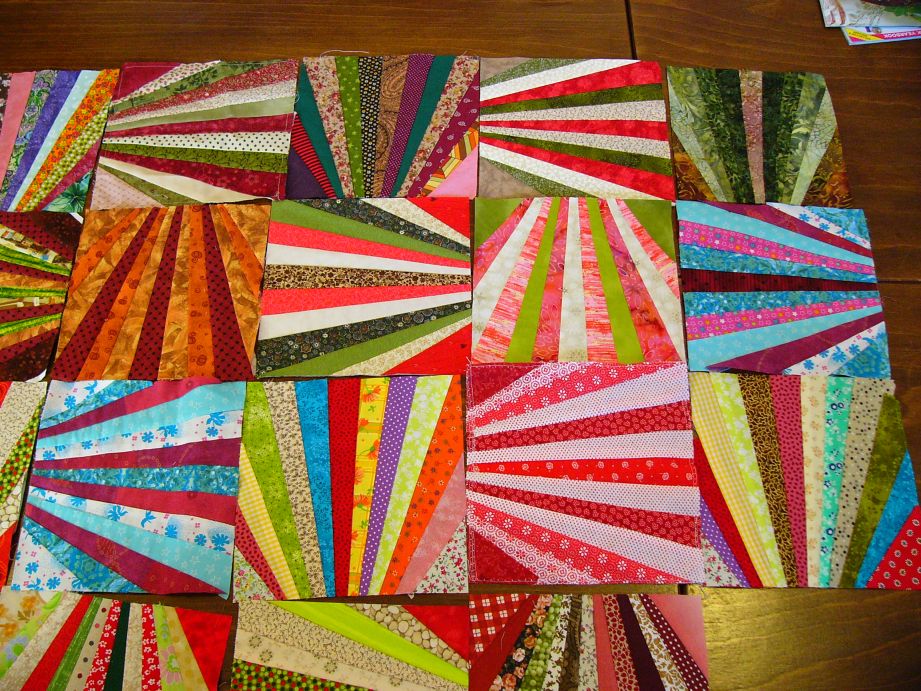 20190216_P1600232_VL